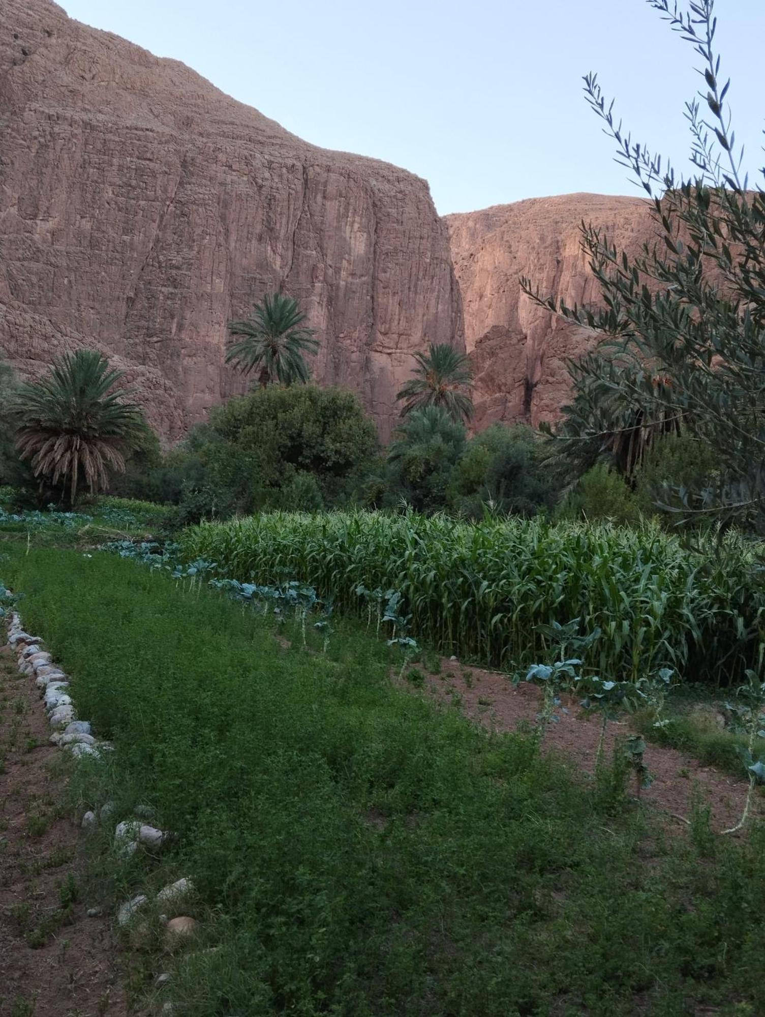 Riad La Fleur Aït Baha Екстериор снимка