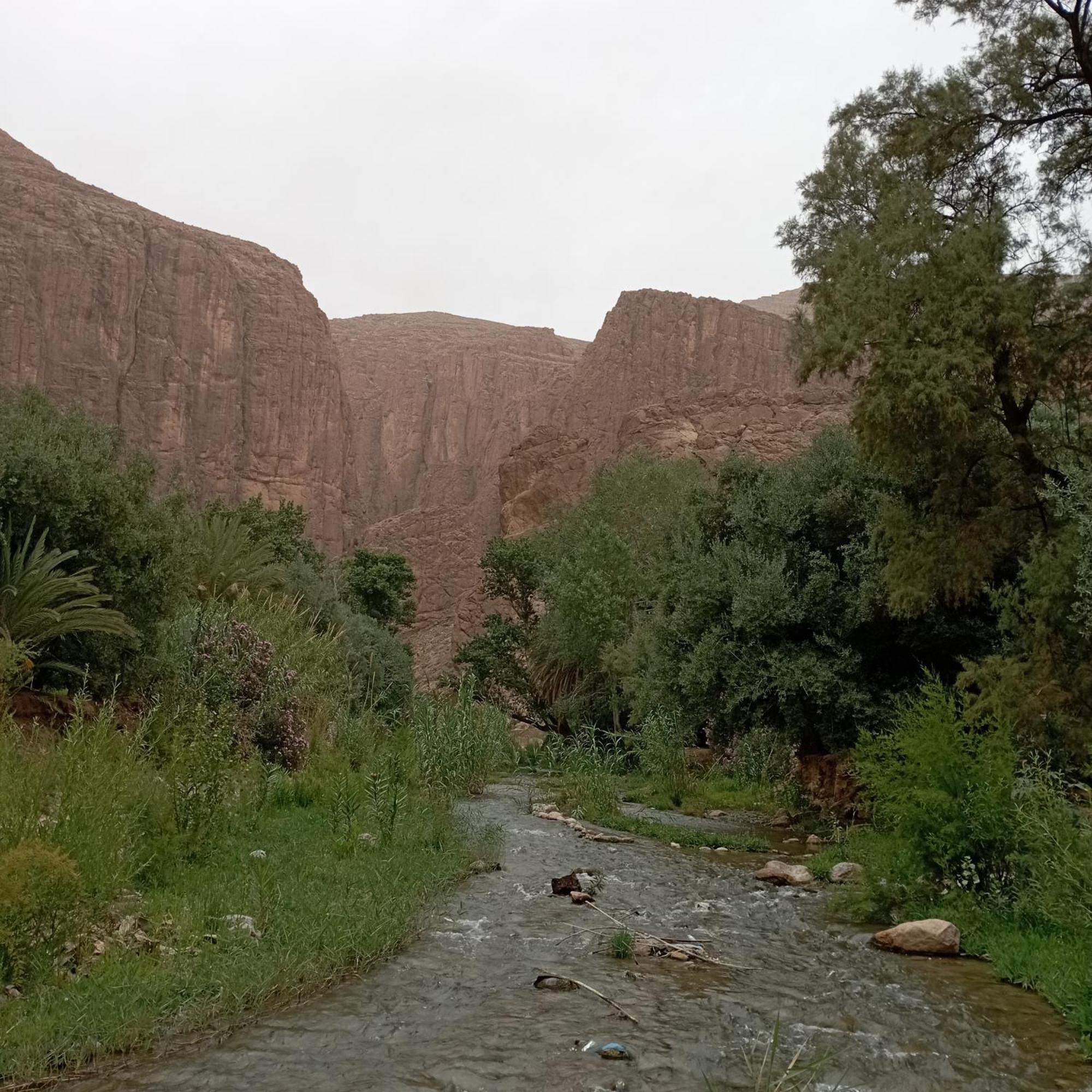 Riad La Fleur Aït Baha Стая снимка